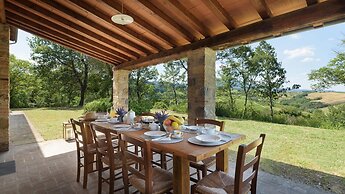 Si-h790-sp820at - Amantino 8