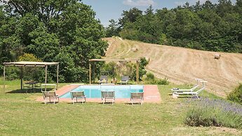 Si-h790-sp820at - Amantino 8