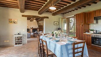 Si-h790-sp820at - Amantino 8