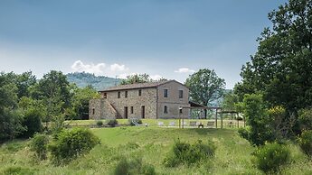 Si-h790-sp820at - Amantino 8