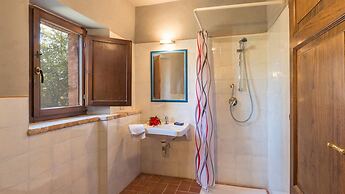 Si-h790-sp820at - Amantino 8