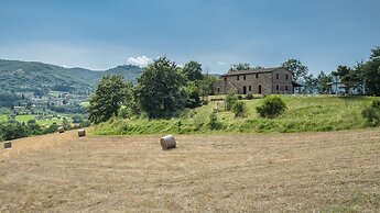 Si-h790-sp820at - Amantino 8