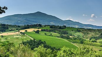 Si-h790-sp820at - Amantino 8