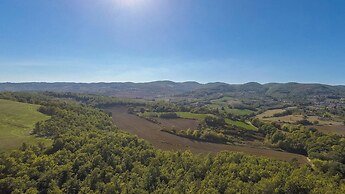 Si-h790-sp820at - Amantino 8