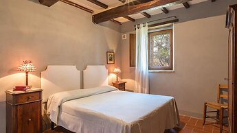 Si-h790-sp820at - Amantino 8