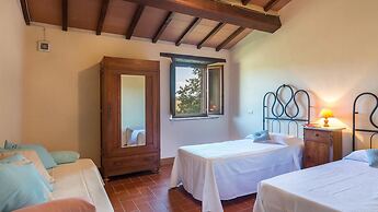 Si-h790-sp820at - Amantino 8