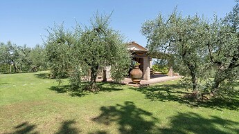 Fi-d895-gate0at - L Oliveta 6