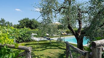 Fi-d895-gate0at - L Oliveta 6