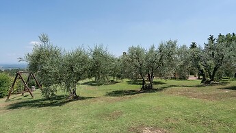 Fi-d895-gate0at - L Oliveta 6