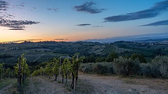 Fi-d895-gate0at - L Oliveta 6