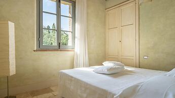 Fi-d895-gate0at - L Oliveta 6