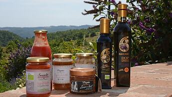 Tr-i381-svim0at - Podere Pomasciano 10