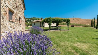 Si-si-h790-scba0bt - Podere Collelungo 14 1