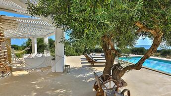 Le-c336-sp2140bt - Villa Pajare Francesi 8 2