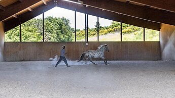 Si-h157-radi0at - Villa Airone 12