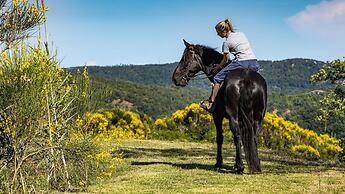 Si-h157-radi0at - Villa Airone 12