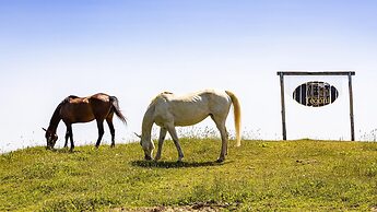 Si-h157-radi0at - Villa Airone 12