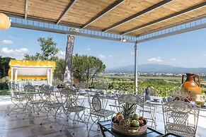 Il Vignale 18 2 in Arezzo