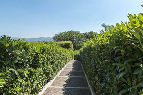 Il Vignale 18 2 in Arezzo