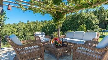 Muffato 6 in Sarteano