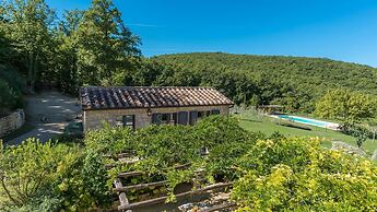 Muffato 6 in Sarteano