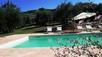 Amandula 6 in Castel del Piano