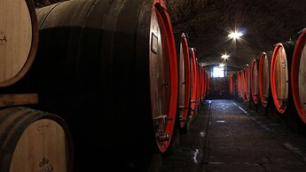 Crognole 6 in Radda in Chianti