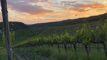 Crognole 6 in Radda in Chianti