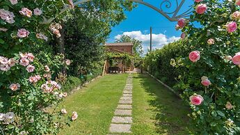 Albachiara 8 in Cortona