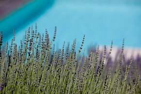 Casale Delle Lavande 10