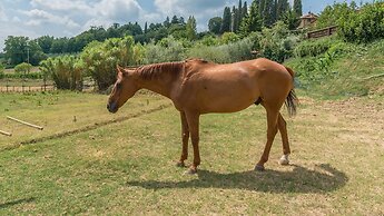 Casa Elia 4 2 in Palazzone