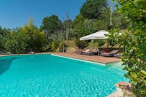 Dalmanuta 8 in Collelungo