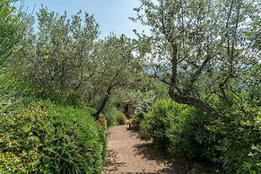 Dalmanuta 8 in Collelungo