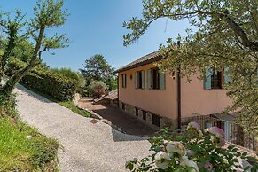 Dalmanuta 8 in Collelungo