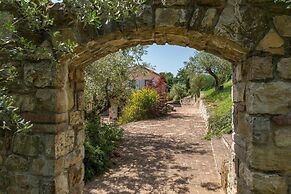 Dalmanuta 8 in Collelungo