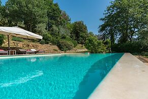 Dalmanuta 8 in Collelungo