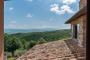 Dalmanuta 8 in Collelungo