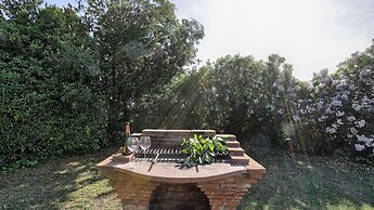 Virginia 8 in Gavorrano