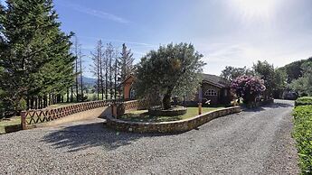 Virginia 8 in Gavorrano