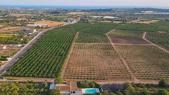 Il Giardino Dei Limoni 8