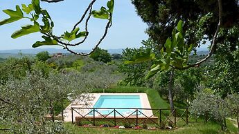 Monterzi 4 in San Giovanni d Asso