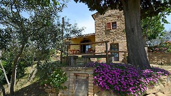 Monterzi 4 in San Giovanni d Asso