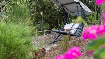 Terripi 10 in Pomarance