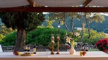 Terripi 10 in Pomarance