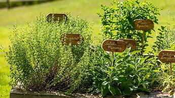 La Casa Di Nan 8 in Forli
