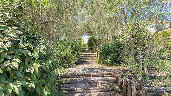 Quercia Felice 17 in Manciano