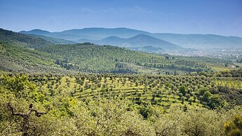 Villa Desiderio 7 in Pistoia