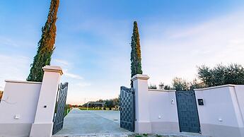 La Perla tra gli Ulivi 12