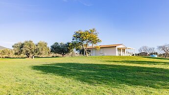 La Perla tra gli Ulivi 12