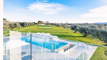 La Perla tra gli Ulivi 12